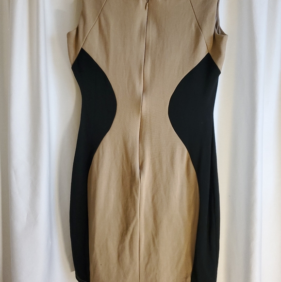 Color Block Bodycon Dress - Picture 4 of 6